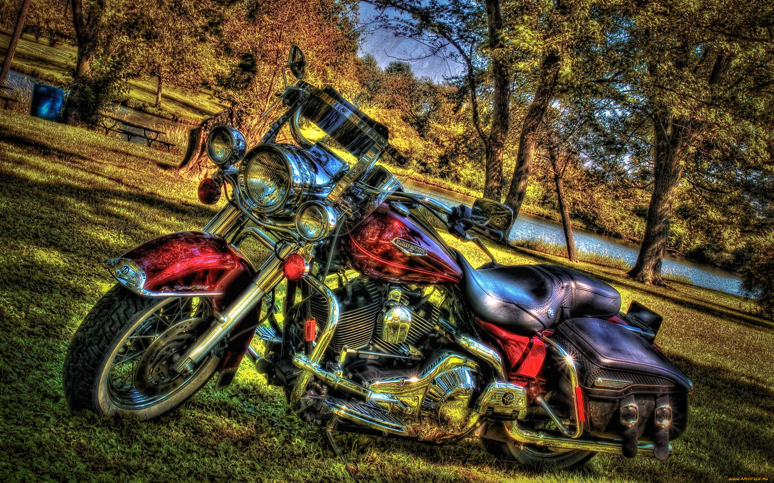 , harley, davidson